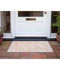 Chantille ACN501 Peach 1'8" x 2'6" Rug