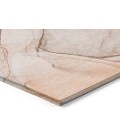 Chantille ACN502 Orange 5' x 7'6" Rug