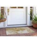 Chantille ACN507 Beige 1'8" x 2'6" Rug