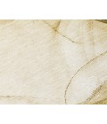 Chantille ACN507 Beige 2'6" x 3'10" Rug