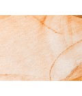 Chantille ACN507 Orange 2'6" x 3'10" Rug