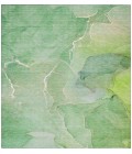 Chantille ACN511 Green 8' x 10' Rug