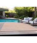 Chantille ACN528 Salmon 9' x 12' Rug