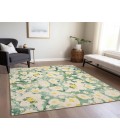 Chantille ACN538 Green 8' x 10' Rug
