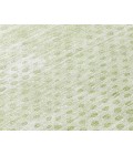 Chantille ACN539 Mint 1'8" x 2'6" Rug