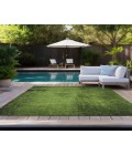 Chantille ACN554 Green 8' x 10' Rug