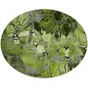 Addison Chantille ACN558 Fern 8 ft. x 8 ft. Round Rug
