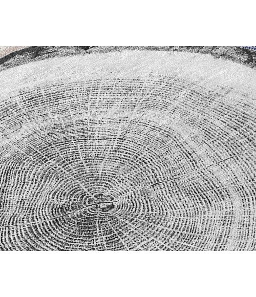 Chantille ACN575 Beige 10' x 14' Rug