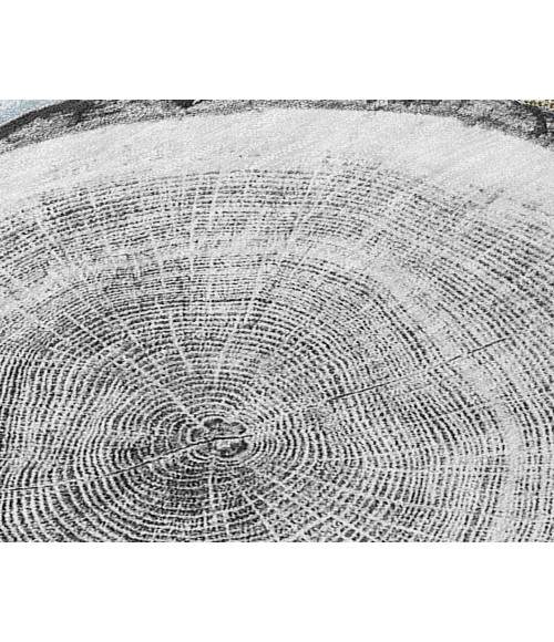 Chantille ACN575 Blue 10' x 14' Rug