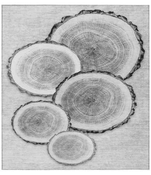 Chantille ACN575 Gray 10' x 14' Rug