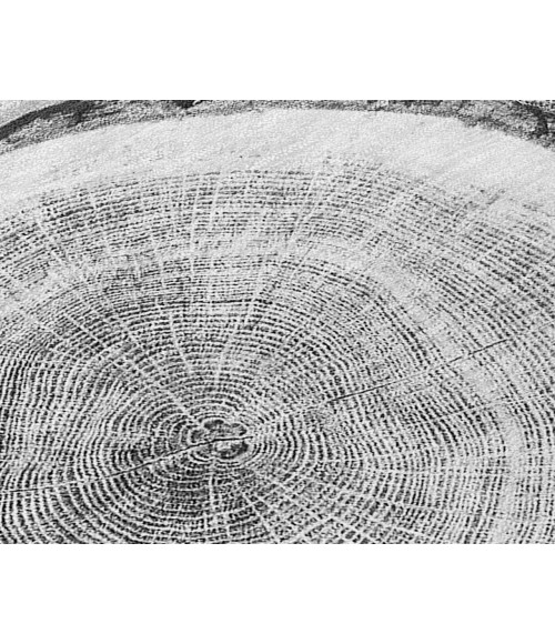 Chantille ACN575 Gray 10' x 14' Rug