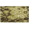 Addison Chantille ACN579 Gold 1 ft. 8 in. x 2 ft. 6 in. Rectangle Rug