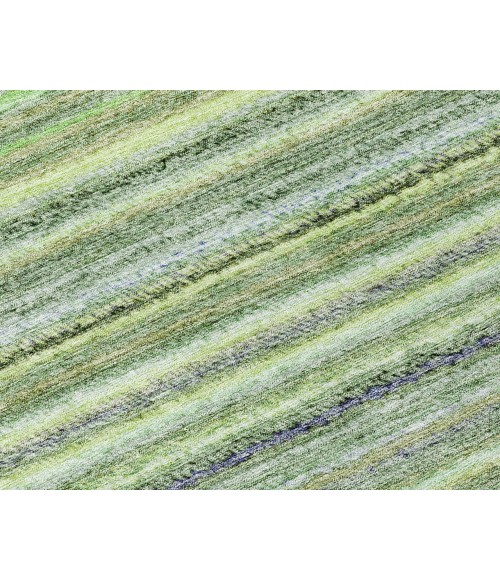 Chantille ACN598 Green 1'8" x 2'6" Rug