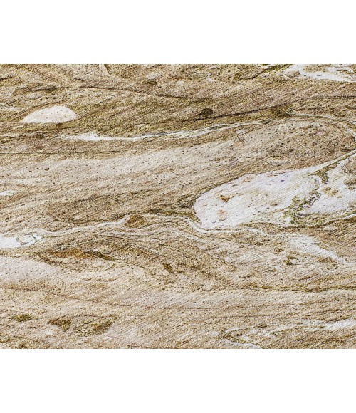 Chantille ACN640 Brown 2'6" x 3'10" Rug