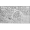 Addison Chantille ACN682 Gray 1 ft. 8 in. x 2 ft. 6 in. Rectangle Rug