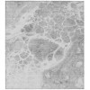 Addison Chantille ACN682 Gray 3 ft. x 5 ft. Rectangle Rug