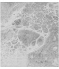 Chantille ACN682 Gray 3' x 5' Rug