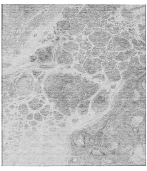 Chantille ACN682 Gray 3' x 5' Rug