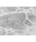 Chantille ACN682 Gray 3' x 5' Rug