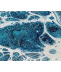Chantille ACN682 Teal 3' x 5' Rug
