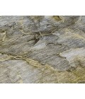 Chantille ACN689 Taupe 2'3" x 7'6" Rug