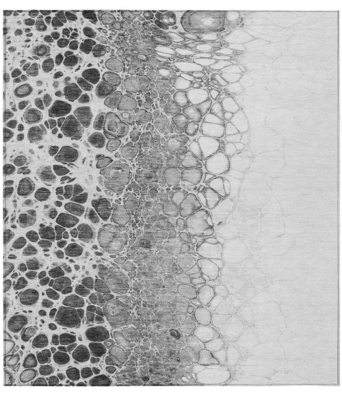 Chantille ACN707 Gray 3' x 5' Rug