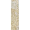 Addison Chantille ACN946-Gold 2 ft. 3 in. X 7 ft. 6 in. Rectangle Rug