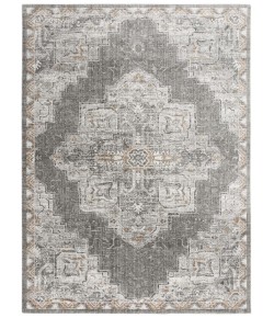 Rugs Town Antonela Light Grey 119743 8 ft. X 10 ft. Rectangle Rug