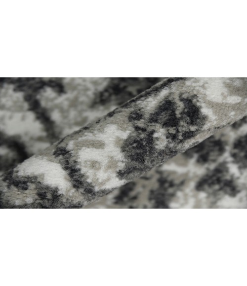 Alpine Fany Dark Gray Bordered Area Rug