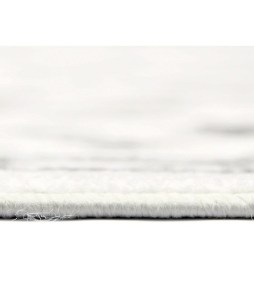 Alpine Fany Light Gray Bordered Area Rug