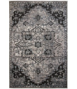 Amer Alexandria ALX-49 Chaves Gray Rug 4 ft. X 6 ft. Rectangle