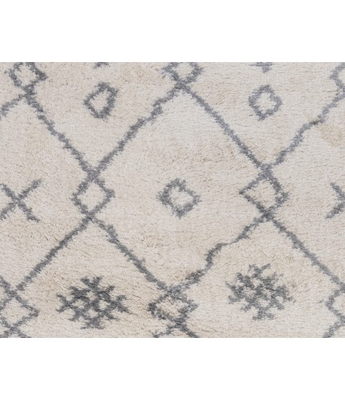 Aspen Emara Ivory/Gray Geometric Area Rug