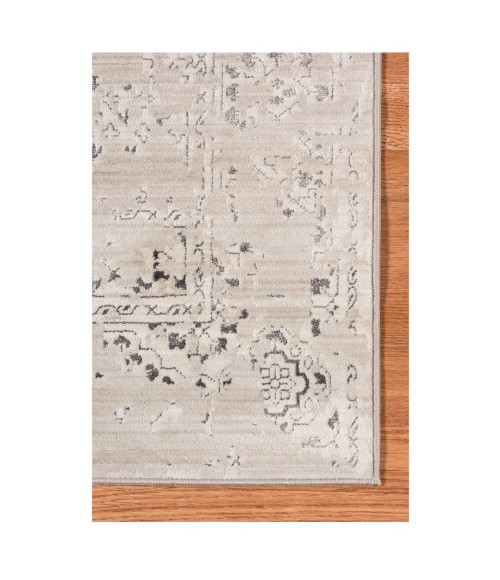 Amer Cambridge Leyland Platinum Polyester Area Rug 2'x3'3"