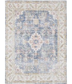 Amer Century CEN-18 Bethel Blue Area Rug 2 ft. 6 in. X 8 ft. Runner