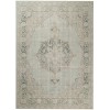 Amer Century CEN-21 Haven Sea Green Rug 7 ft. 10 in. X 10 ft. 6 in. Rectangle