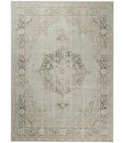 Amer Century CEN-21 Haven Sea Green Rug 7 ft. 10 in. X 10 ft. 6 in. Rectangle