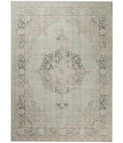 Amer Century CEN-21 Haven Sea Green Area Rug 5 ft. 3 in. X 7 ft. 3 in. Rectangle