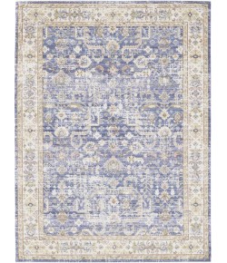 Amer Century CEN-6 Tatum Lavender Rug 2 ft. 6 in. X 8 ft. Runner