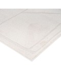 Amer Monotone Ivory MNT-8 2 ft. X 3 ft. Rectangle Rug