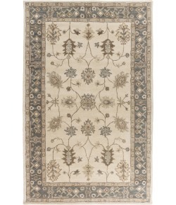 Surya Middleton AWHR2050 Khaki Teal Area Rug 5 ft. X 8 ft. Rectangle