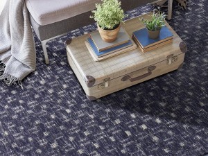 How to Stop Your Rug from Shedding? How to Stop Your Rug from Shedding?