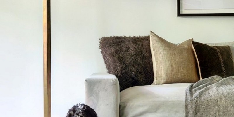 Rugs buying guide if you have pets in your home!