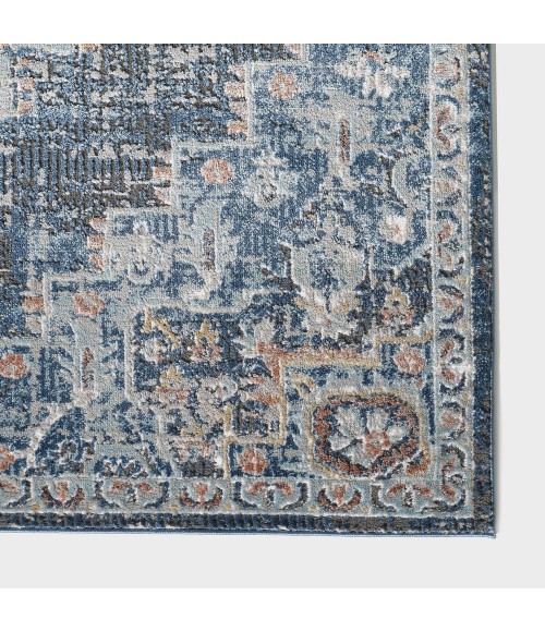 Ornate Fontazilor Area Rug By Central Oriental