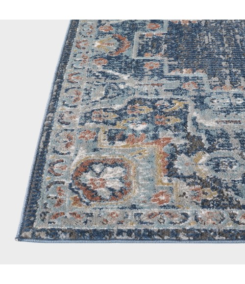 Ornate Fontazilor Area Rug By Central Oriental