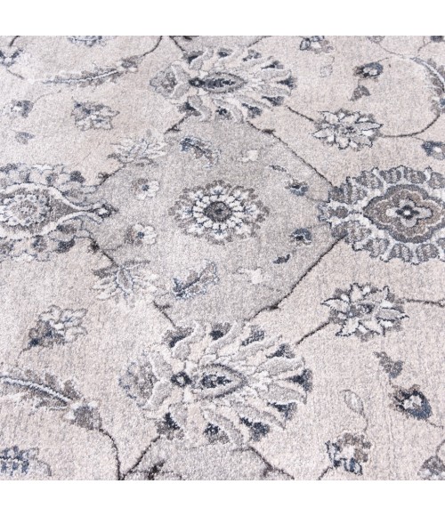 Central Oriental Clearwater 2806BCK58-200 Area Rug