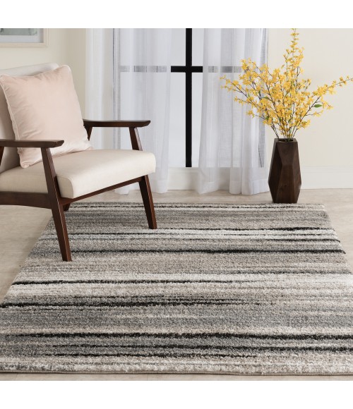 Toronto Madicyn Area Rug By Central Oriental