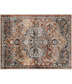Central Oriental Minerva Edwina Sp/Vb Area Rug 2 ft. 3 in. X 3 ft. Rectangle