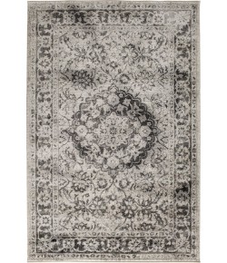 Central Oriental Corso Maja Birch/Sterl Area Rug 6 ft. 6 X 9 ft. 6 Rectangle