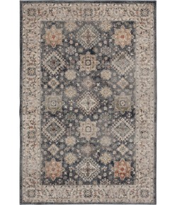 Central Oriental Minerva Colton Vb/Sa Area Rug 6 ft. 7 in. X 9 ft. 6 in. Rectangle