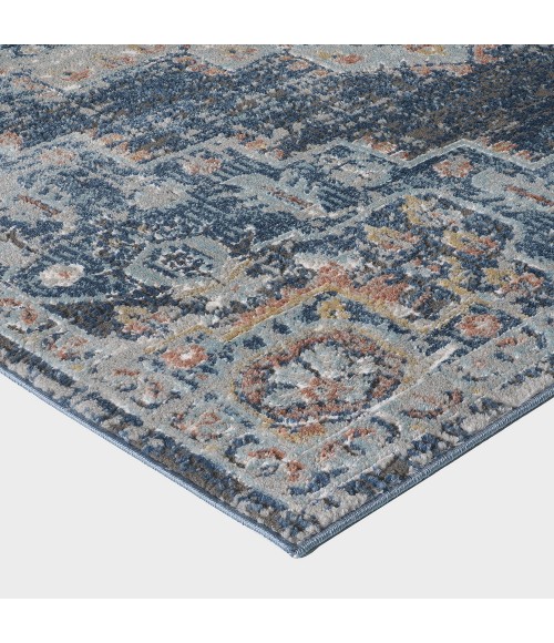 Ornate Fontazilor Area Rug By Central Oriental